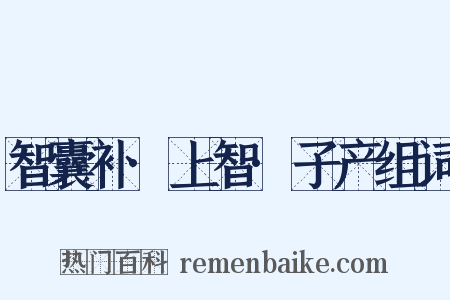 智囊补·上智·子产组词是什么意思的图片